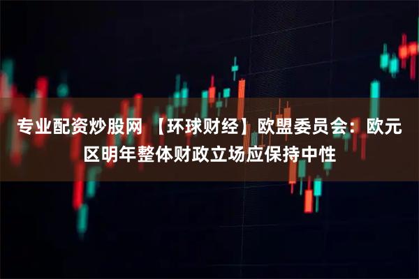 专业配资炒股网 【环球财经】欧盟委员会：欧元区明年整体财政立场应保持中性