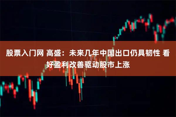 股票入门网 高盛：未来几年中国出口仍具韧性 看好盈利改善驱动股市上涨